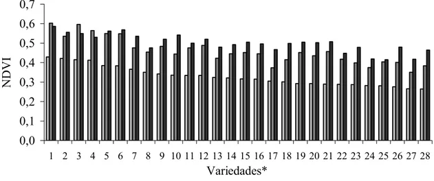 Figura 1 - Gráfico das médias de NDVI, de cada variedade, nas três leituras realizadas 