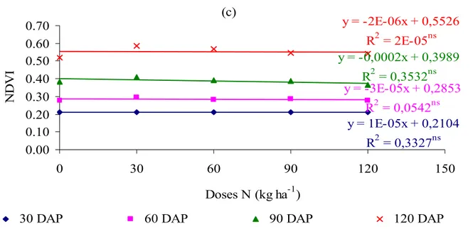 Figura 1 - Valores do NDVI em relação às doses de N aplicadas aos 30, 60, 90 e 120 dias após o  plantio (DAP), para as variedades CTC2 (a), SP83-2847 (b) e RB855536 (c) 
