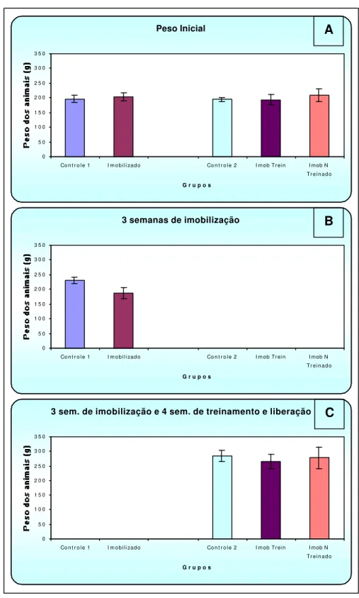 FIGURA  9  – Peso dos animais. Média do peso inicial dos animais de todos os grupos (A); 