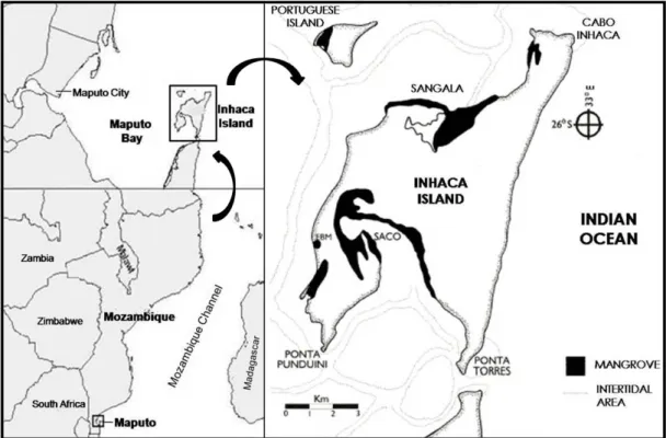 Figure 3. Map showing the localization of Inhaca Island and Saco and Sangala Bays  (adapted from Paula et al