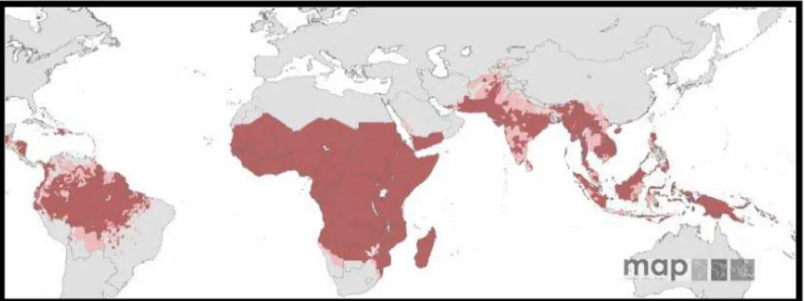 Figura 2. Mapa de risco de malária causada por P. falciparum 