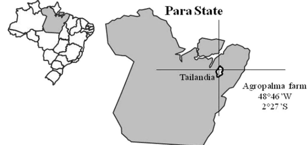 Figure  1  –  Location  map  of  the  study  area  in  the  Agropalma  Farm,  Para  State,  Amazon  region, Brazil 