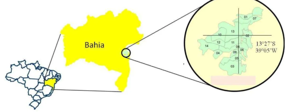 Figure 1  –  Location map of the study areas in Taperoá, Bahia State, Brazil 