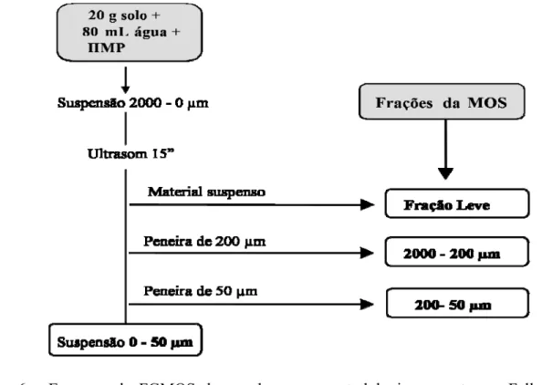Figura 6 – Esquema do FGMOS de acordo com a metodologia proposta por Feller (1979) e  descrita por Gavinelli et al