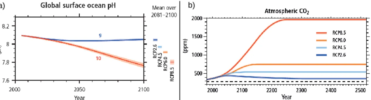 Figure 1.3 – a) Change in ocean surface pH. For all panels, time series of projections and a measure  of uncertainty (shading) are shown for scenarios RCP2.6 (blue) and RCP8.5 (red)