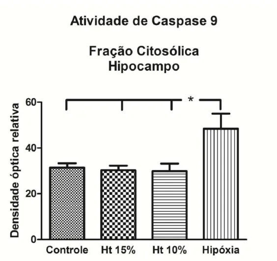 Figura 13. Atividade da caspase 9 na fração citosólica do hipocampo nos grupos  controle, Ht 15%, Ht 10% e hipóxia-hipóxica