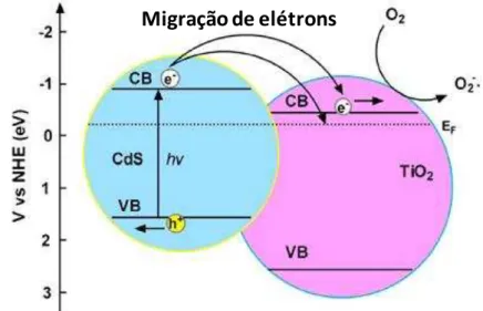 Figura 2 - Esquema mostrando a estrutura de energia de bandas e transferência de elétrons entre CdS  e TiO 2 