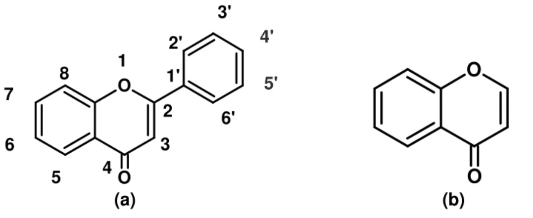 Figura 1: Estruturas da flavona (a) e da cromona (b). 