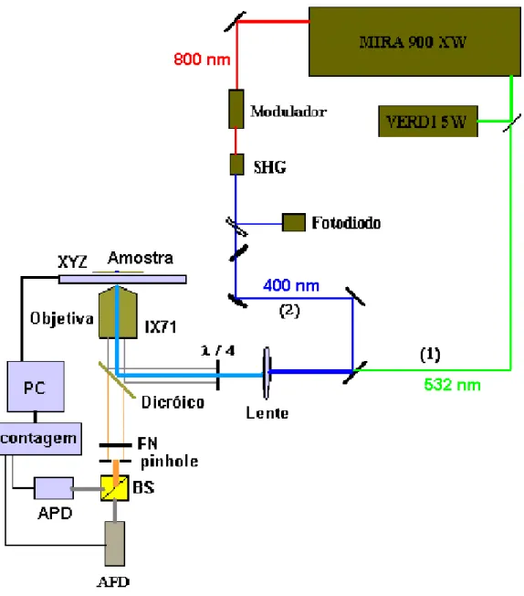 Figura 14: Esquema de Instrumentação: FN = Filtro de Notch, BS = separador de  feixes (dicróico, ou um cubo com ou sem separação por polarização do sinal)