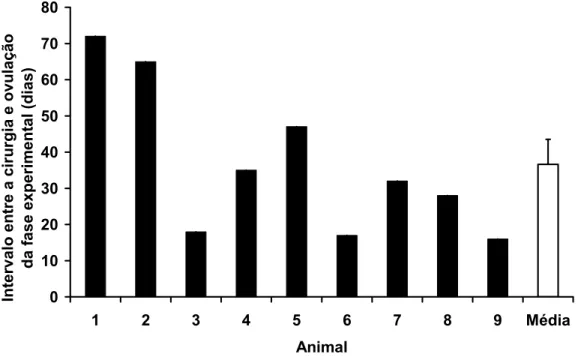 Figura 12 - Intervalo entre a cirurgia e ovulação que deu início a fase experimental  (dias) para cada animal e média (±EPM) 