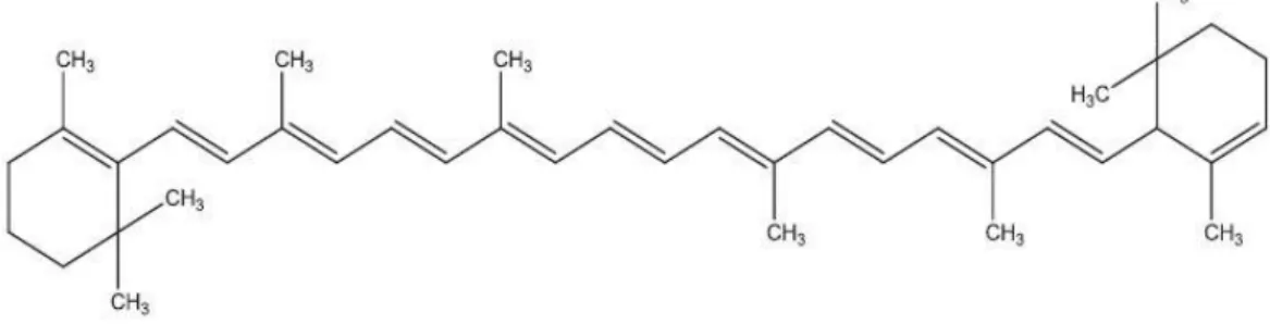 Figure 3 Chemical structure of β-carotene (Dewapriya and Kim, 2014). 