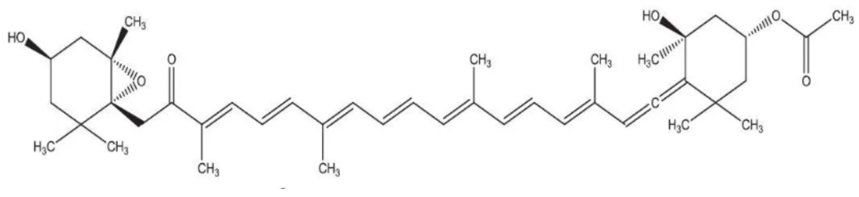 Figure 5 Chemical structure of fucoxanthin (Dewapriya and Kim, 2014). 