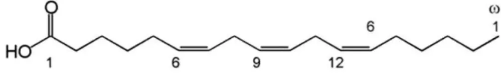 Figure  9  Chemical  structure  of  γ-Linolenic  acid  (GLA)  [all-cis-6,9,12-octadecatrienoic  acid]  (Koller  et  al.,  2014)