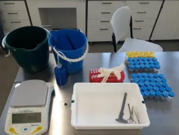 Figure 4: Material used to determine biometric data and to remove the gonads from the sea  urchins