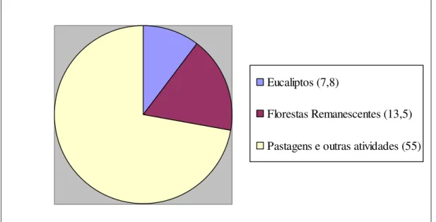 Gráfico 2. Área ocupada da Bacia hidrográfica do Rio Paraíba do Sul em São Paulo-2010 (%)