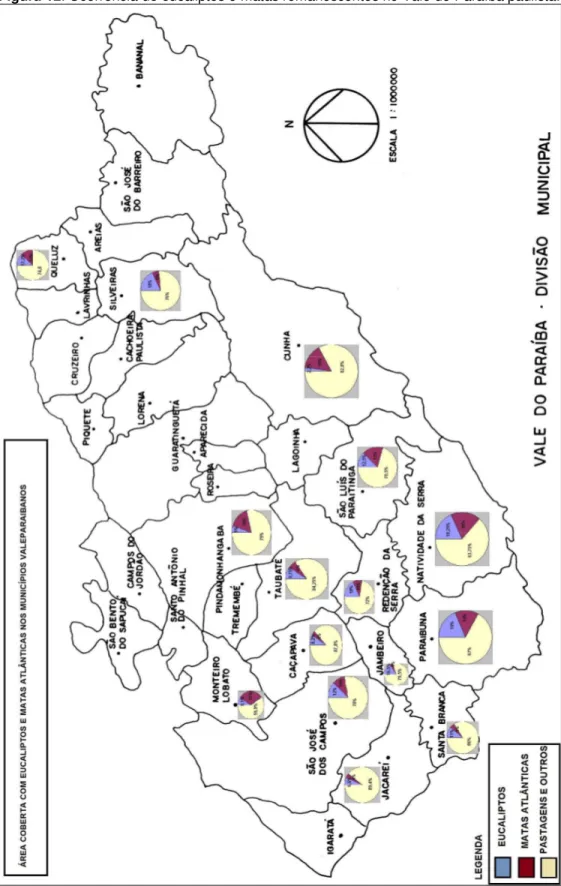 Figura 12. Ocorrência de eucaliptos e matas remanescentes no Vale do Paraíba paulista