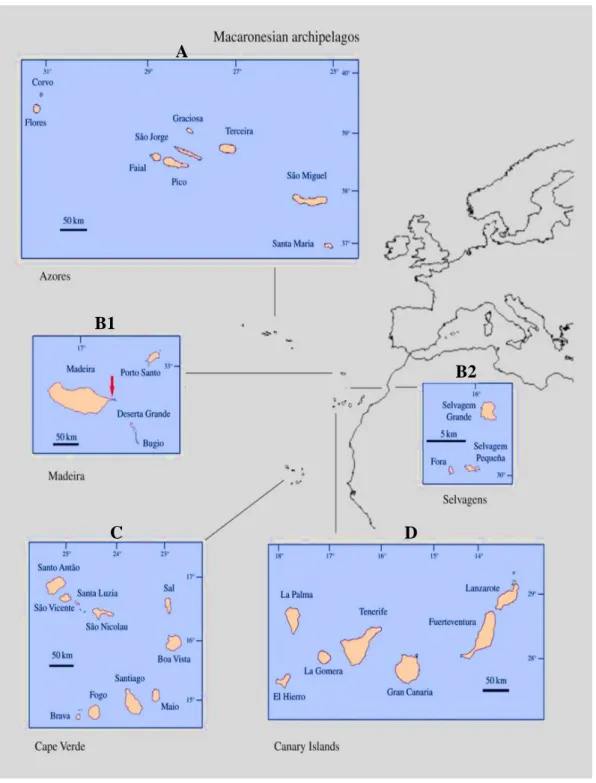 Figure 2.1: Macaronesian archipelagos. Adapted from Rando et al. (2014). 