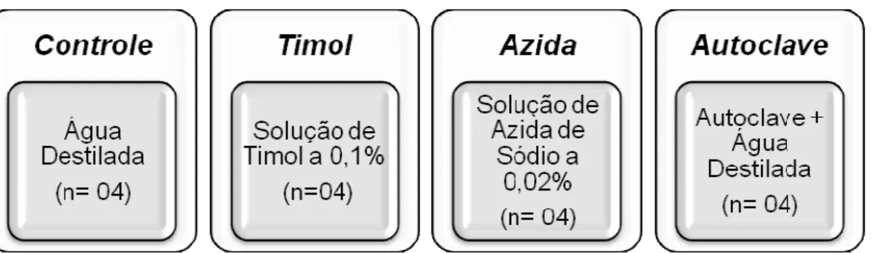 Figura 11 – Grupos de estudo e amostra no teste de microdureza de superfície.