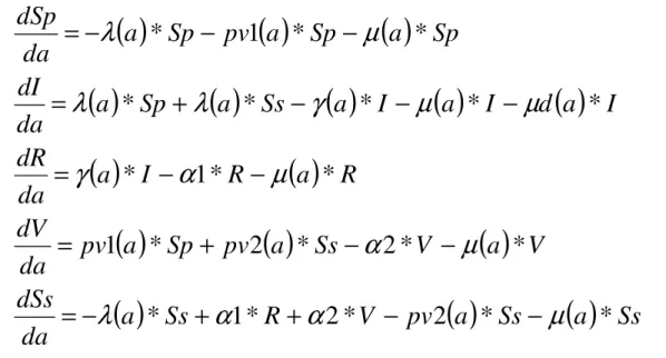 Figura  2  -  Sistema  de  equações  diferenciais  que  representa  o  modelo  compartimental para a coqueluche