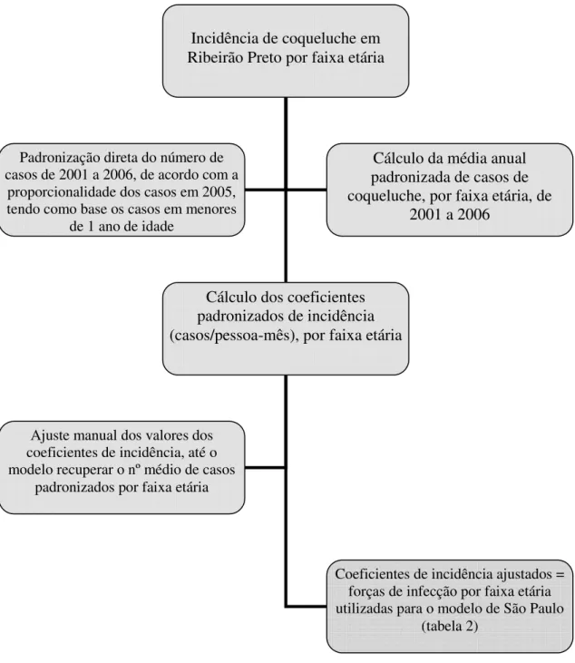 Figura 4 - Organograma seguido para o cálculo das forças de infecção por  faixa etária (λ i ) para São Paulo 