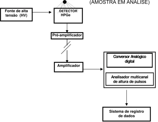 FIGURA 3.1- Fluxograma genérico do sistema de espectrometria gama. 