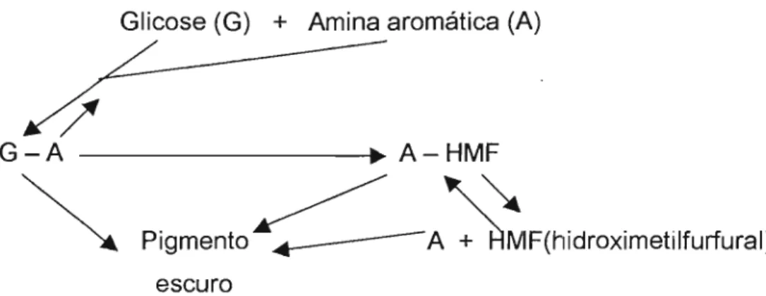 Figura 5 : Mecanismo para o sistema de escurecimento da lactose e izoniazida. 