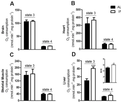 Fig 2. IF induces an increase in respiratory capacity in liver, without bioenergetic changes in other tissues