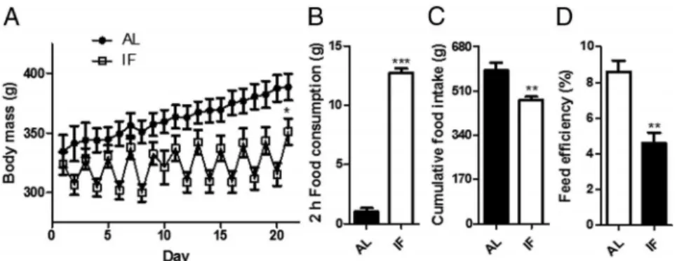 Figure 1. Intermittent fasting promotes overeating, lower feed conversion efficiency and reduced body mass