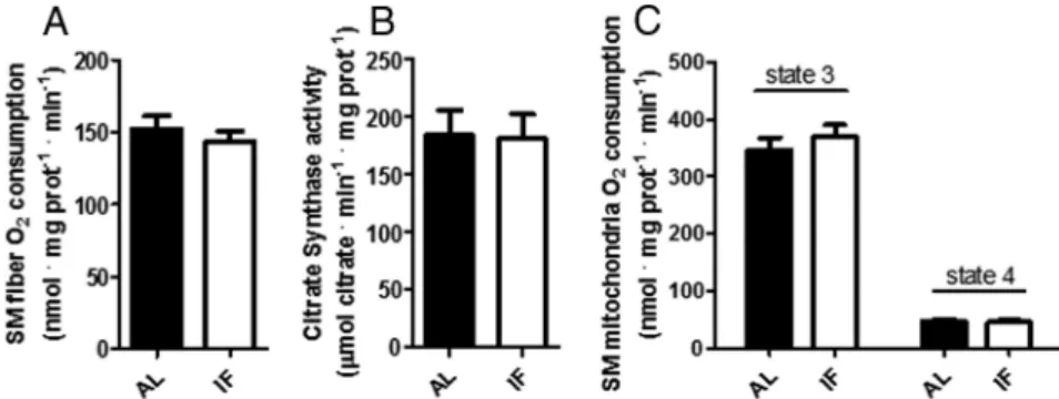 Figure 3. IF does not alter mitochondrial mass or coupling. A, SM fiber respiratory rates were measured as described in Materials and Methods (n ⫽ 14); B, Skeletal muscle citrate synthase activity, determined as described in Materials and Methods (n ⫽ 8); 