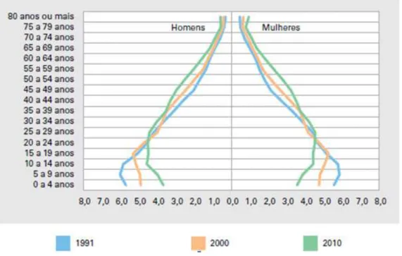 Gráfico 1: Composição da população residente total, por sexo e grupos de idade – Brasil  – 1991/2010