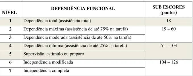Figura 2 - Níveis de Independência Funcional, com suas pontuações (RIBERTO et al., 2004) 