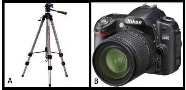 Figura 1: Equipamentos utilizados na obtenção das imagens. A: Tripé; B: Câmera digital D80  Nikon (Nikon Corporation, Japão) utilizada neste estudo