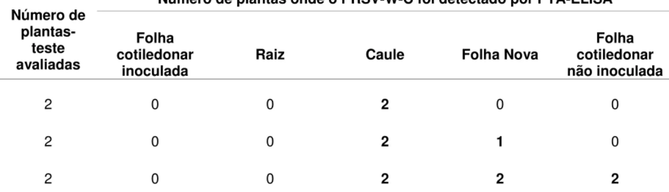 Tabela 1 – Detecção do PRSV-W-C na folha cotiledonar inoculada e não inoculada, caule, raiz e folha  nova de plantas de abobrinha-de-moita, em diferentes intervalos de tempo após a inoculação  em uma das folhas cotiledonares 