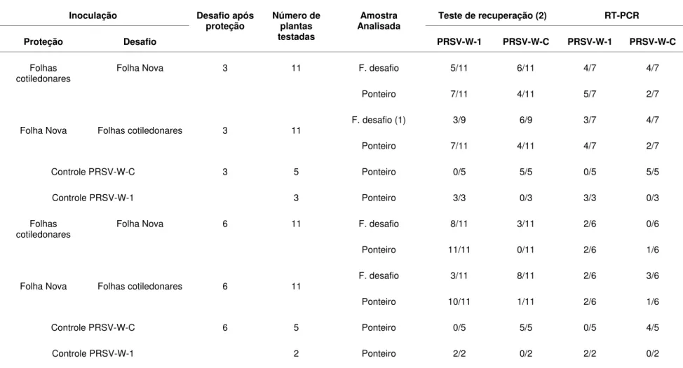 Tabela 5- Detecção das estirpes fraca (PRSV-W-1) e severa (PRSV-W-C) a partir das amostras dos tecidos onde foram feitas as superinoculações  (desafios) e dos ponteiros das plantas testes indicadas na tabela por meio dos testes de recuperação biológica e R