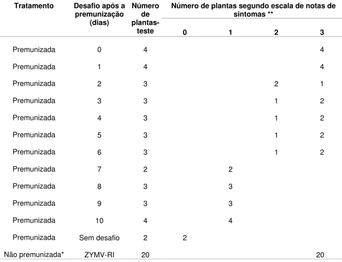 Tabela 6- Reação de plantas de abobrinha-de-moita premunizadas com a estirpe fraca ZYMV-M e  desafiadas com a estirpe severa ZYMV-RI, em diferentes intervalos de tempo após a  inoculação de proteção 