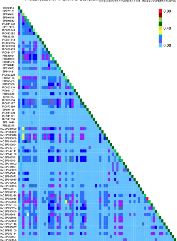 Figura 3 – Heatmap construído a partir da matriz de parentesco genético ( A ) dos 74 genótipos