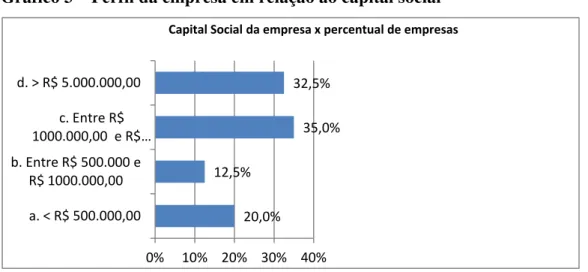 Gráfico 3  –  Perfil da empresa em relação ao capital social 