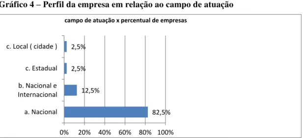 Gráfico 4  –  Perfil da empresa em relação ao campo de atuação 