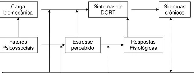 Figura  2.  Modelo  das  relações  de  influência  entre  fatores  de  risco  biomecânicos,  psicossociais  e  individuais  e  seus  impactos  no desenvolvimento  dos  DORTs