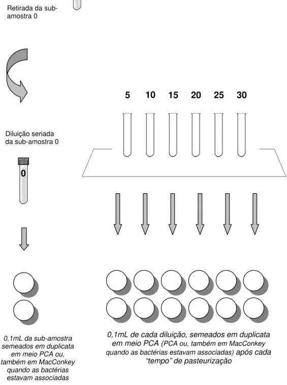 Figura 5 - Pasteurização, diluição e semeadura das sub-amostras 30 25 20 15 105 
