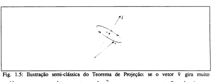 Fig. 1.5: nustra~ao semi-chissica do Teorema de Proje~ao: se 0 vetor v gira muito