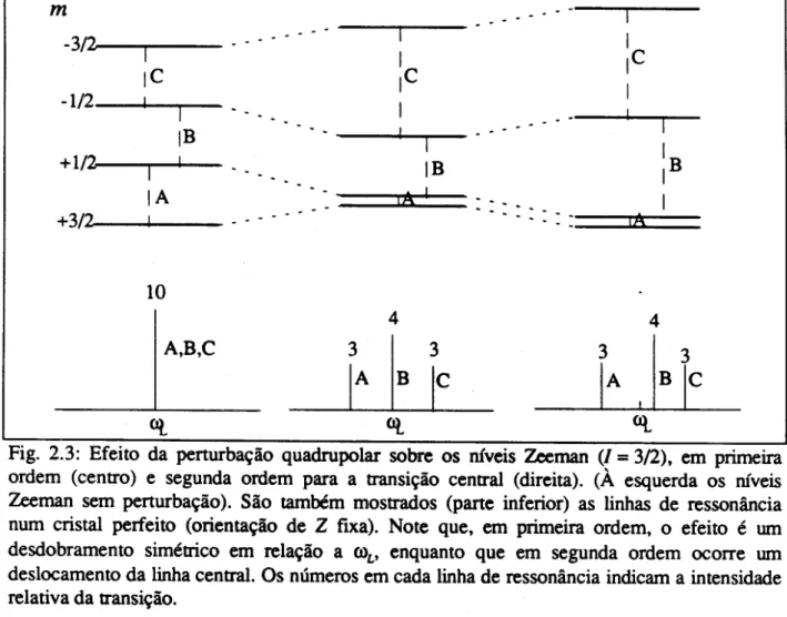 Fig. 2.3: Efeito da penurba~ao quadrupolar sobre os nlveis Zeeman ( I = 3/2), em primeira ordem (centro) e segunda ordem para a transi~ao central (direita)