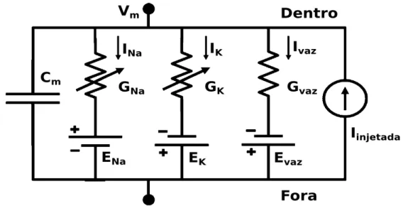 Figura   2.  Circuito   elétrico   equivalente   com   3   canais   iônicos.  C m   é   a   capacitância   da   membrana,  G vaz   é   a condutância de vazamento, G K  é a condutância de potássio e G Na  é a condutância de sódio