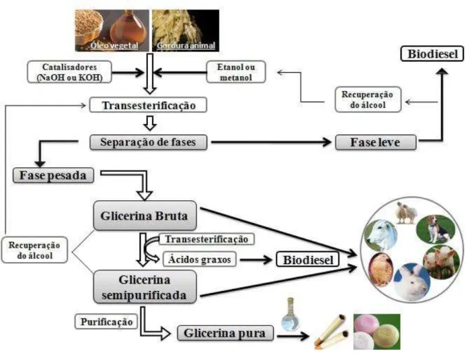 Figura 2  –  Esquema de produção do biodiesel  