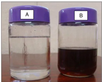 Figura 4  –  Frasco A: glicerol puro e B: glicerina A  B 