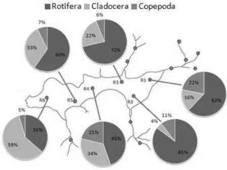 Figura  20.  Abundância  relativa  dos  grupos  Rotifera,  Cladocera  e  Copepoda  nos  pontos  de  coleta  da  represa do Lobo em julho de 2010