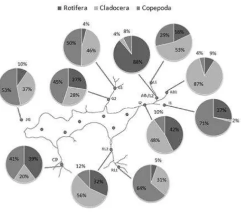 Figura  36.  Abundância  relativa  dos  grupos  Rotifera,  Cladocera  e  Copepoda  nos  pontos  de  coleta  dos  tributários em janeiro de 2011