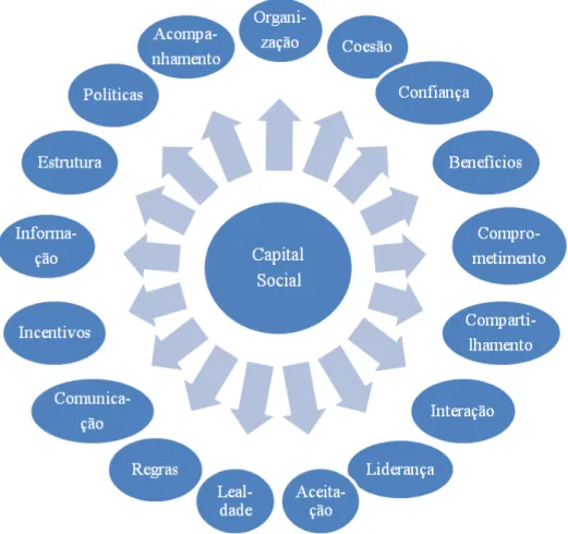 Figura 2 – Fatores que interferem no capital social  Fonte: Adaptado de Domeneguetti e Meir (2009)