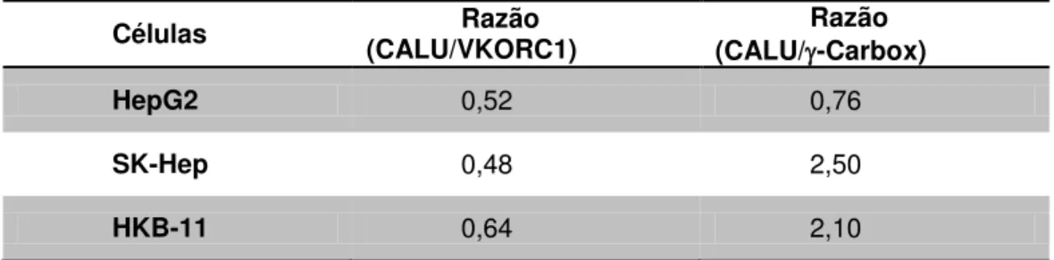 Tabela II. Razão entre a expressão dos genes CALU, VKORC1 e -carboxilase. 