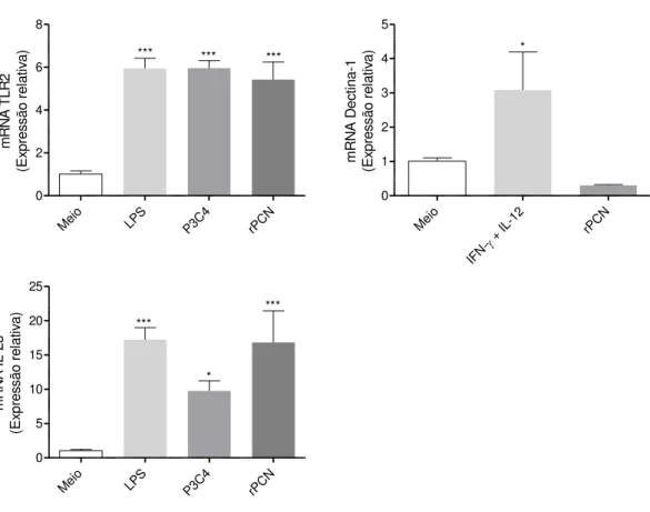 Figura  9:  O  estímulo  com  rPCN  aumenta  a  expressão  de  mRNA  para  TLR2  e  IL-23